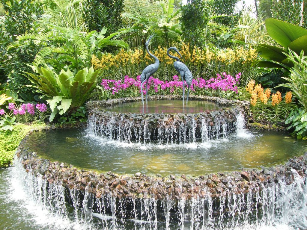 National Orchid Garden Singapore