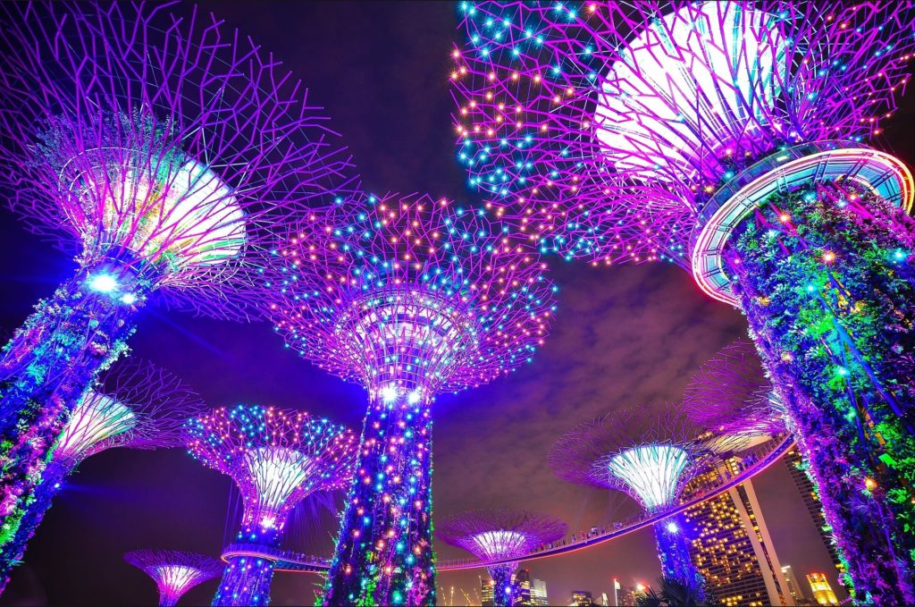 Garden by the Bay Light show